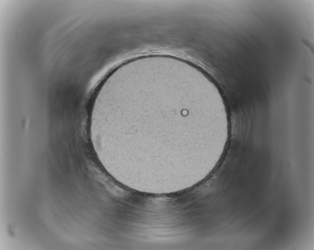 X0000098161502200805151216