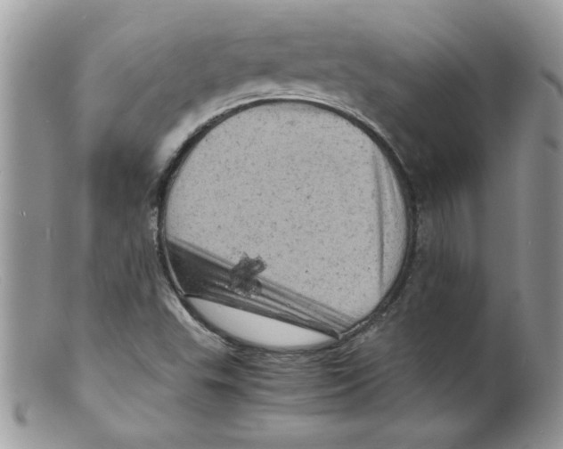 X0000098161503200805151216