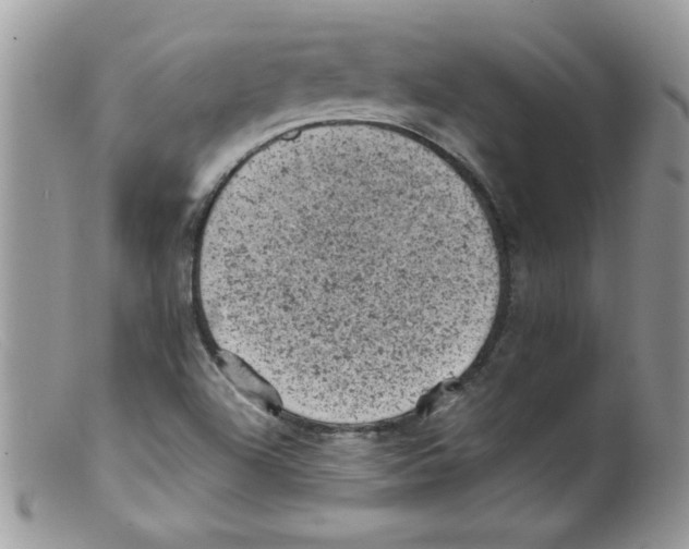 X0000098161504200805151216