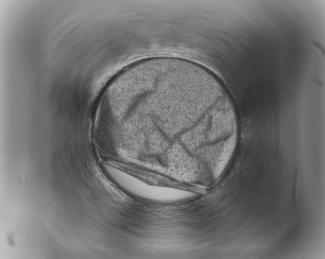 X0000098161507200805151216