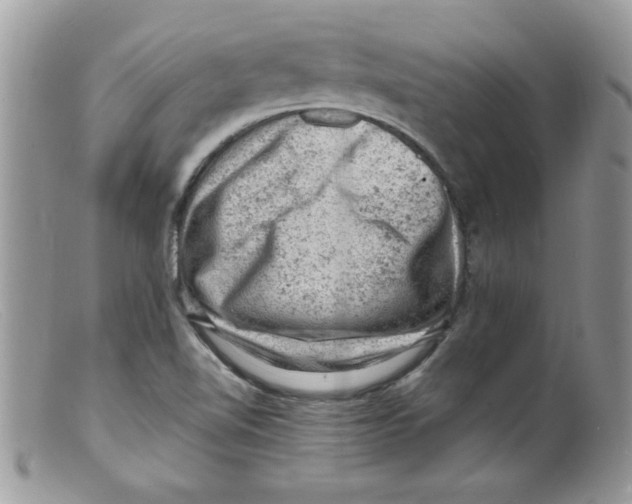 X0000098161510200805151217
