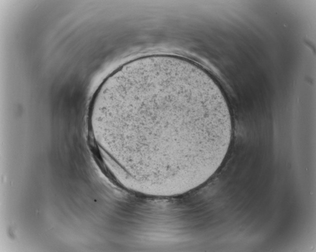 X0000098161512200805151217