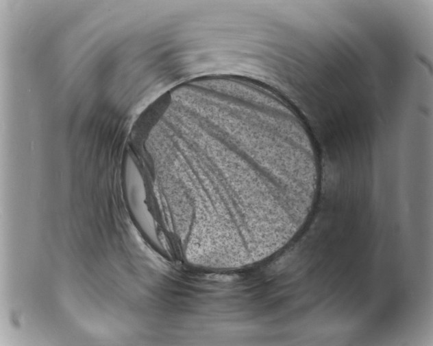X0000098161513200805151217