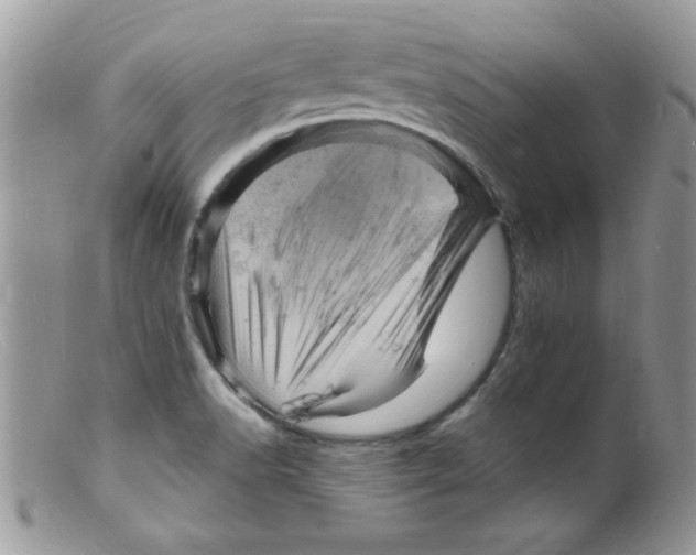 X0000098161518200805151217
