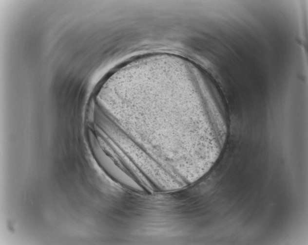 X0000098161520200805151217