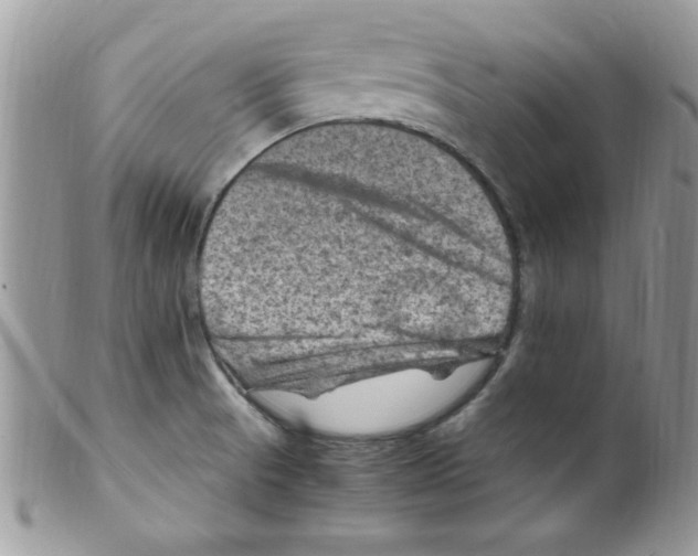 X0000098161521200805151217
