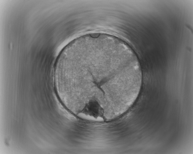 X0000098161522200805151217