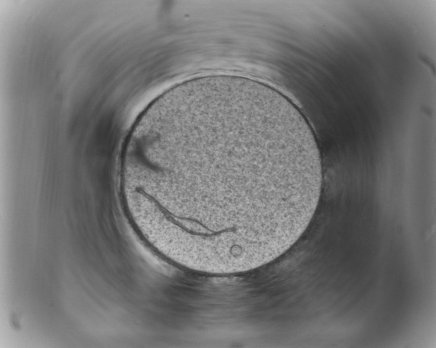 X0000098161523200805151217