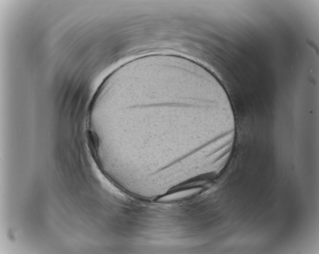 X0000098161526200805151217