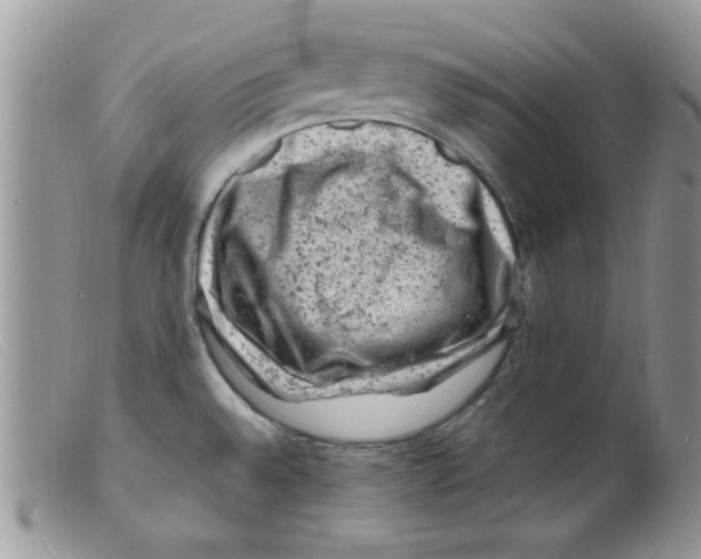 X0000098161528200805151217