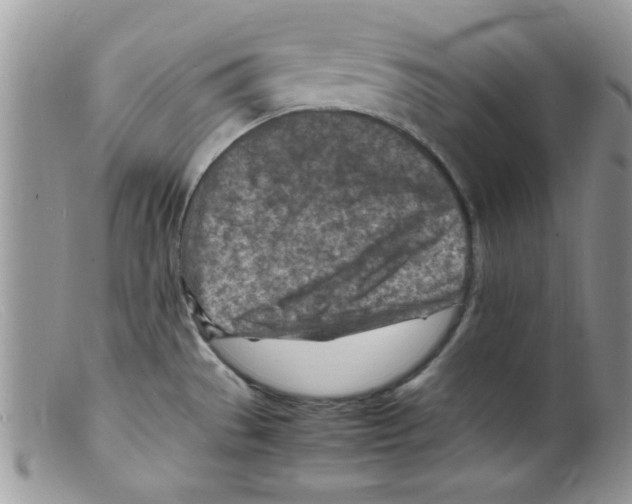 X0000098161529200805151217
