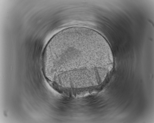 X0000098161531200805151217