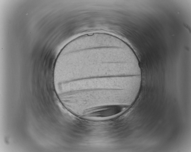 X0000098161534200805151217