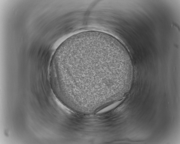 X0000098161535200805151217