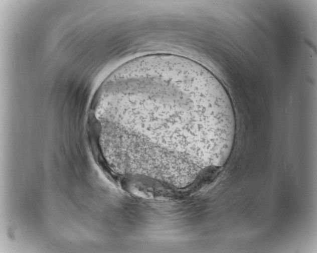 X0000098161536200805151217