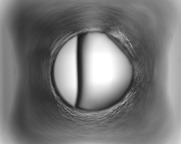 X0000098170001200804241019