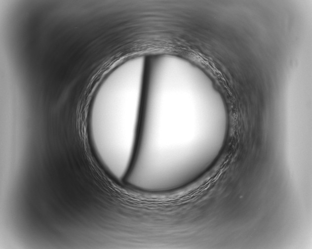 X0000098170002200804241019