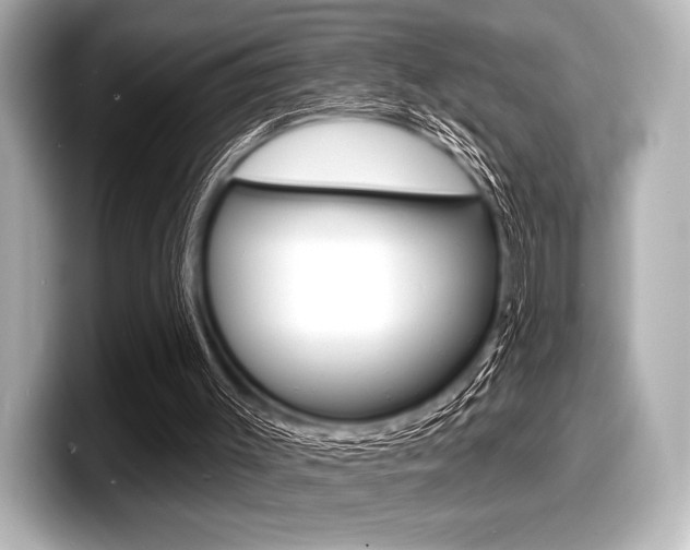 X0000098170003200804241019