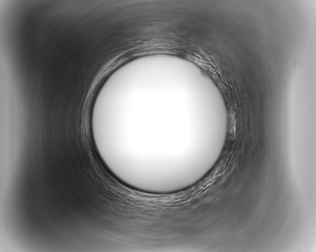 X0000098170004200804241019