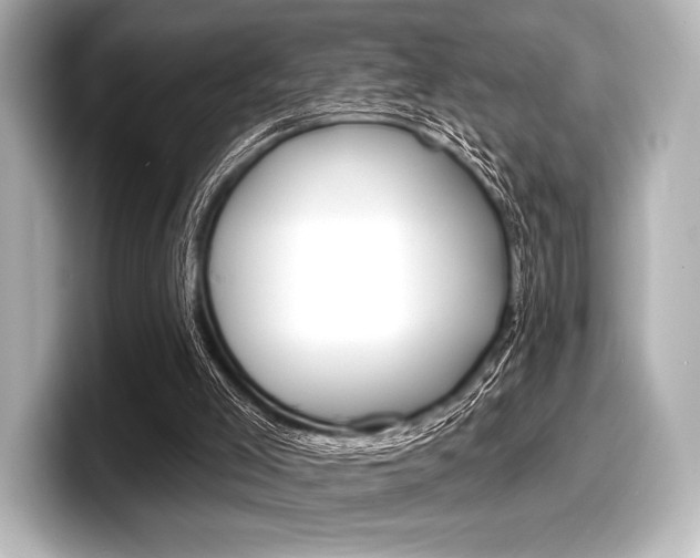 X0000098170005200804241019