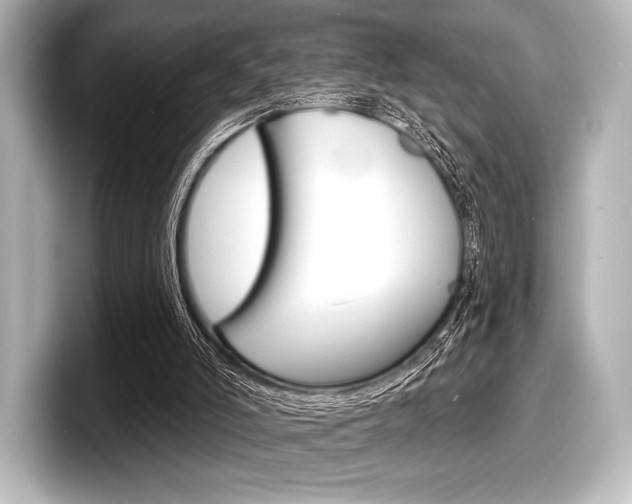 X0000098170006200804241019