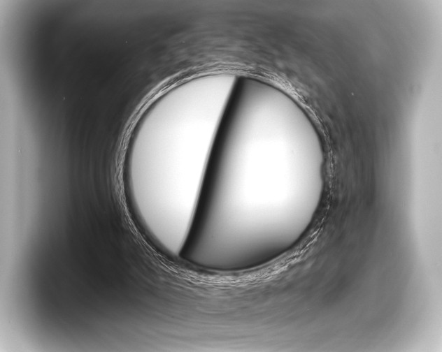 X0000098170007200804241019