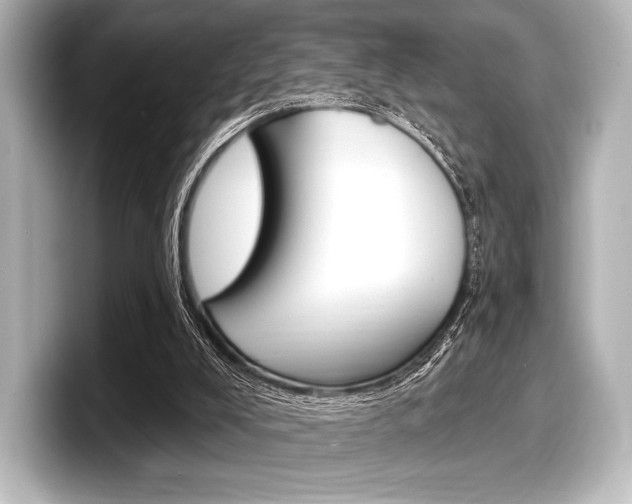 X0000098170008200804241019