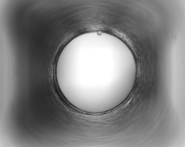 X0000098170010200804241019