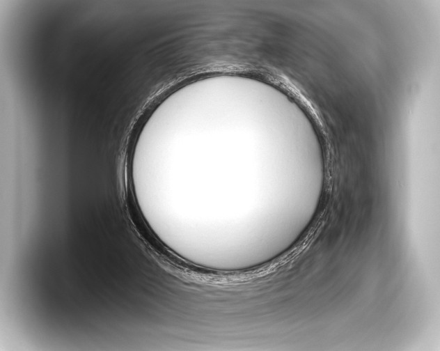 X0000098170011200804241019