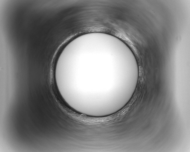 X0000098170012200804241019