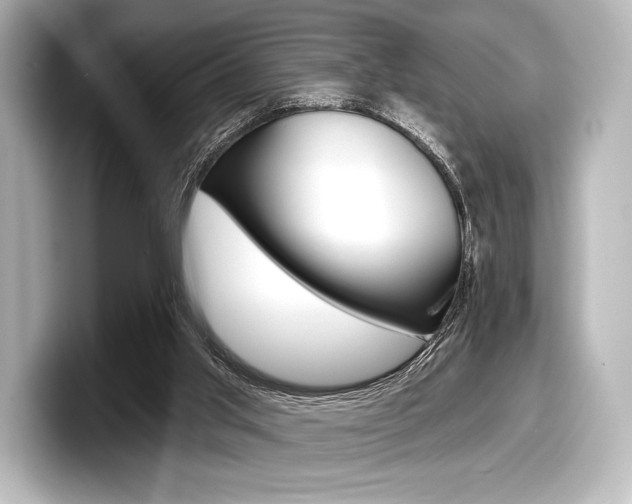 X0000098170013200804241019