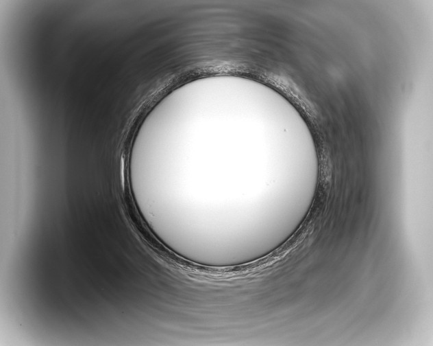 X0000098170014200804241019