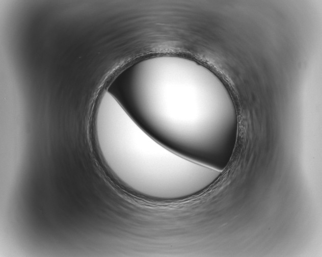 X0000098170015200804241019