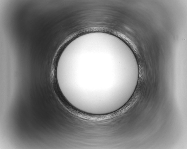 X0000098170016200804241019