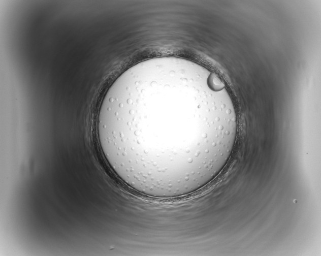 X0000098170018200804241019