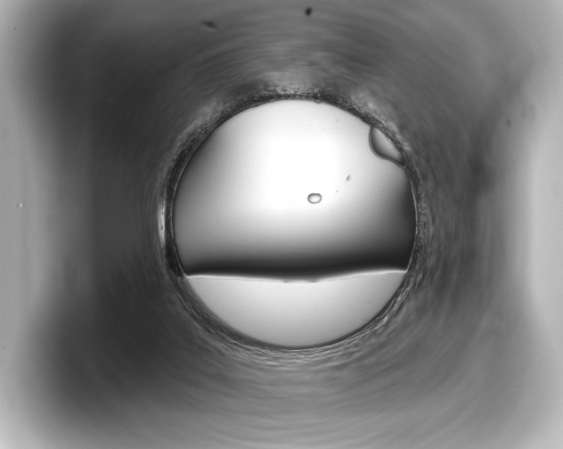 X0000098170019200804241019