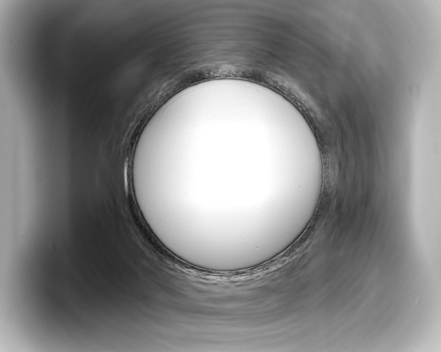 X0000098170022200804241019