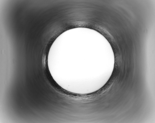 X0000098170024200804241019