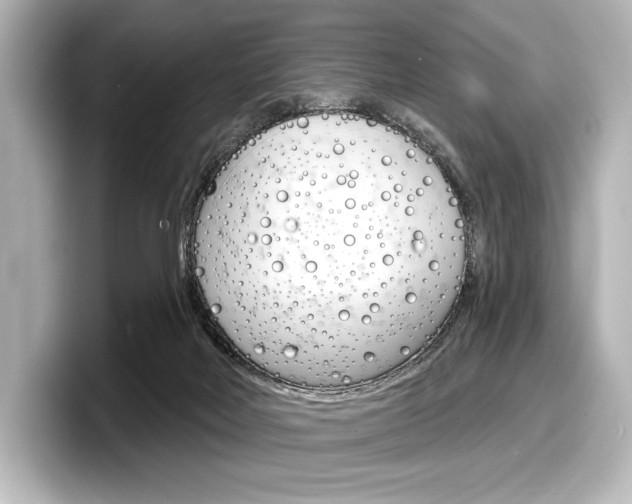 X0000098170026200804241019