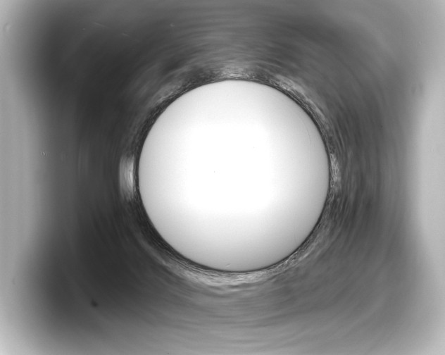 X0000098170028200804241019