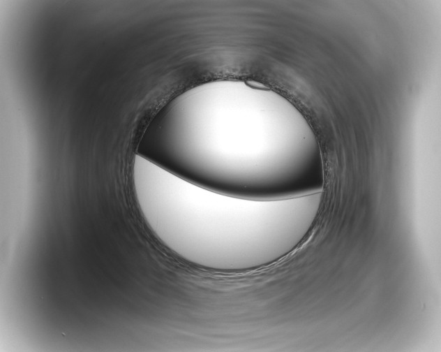 X0000098170029200804241019