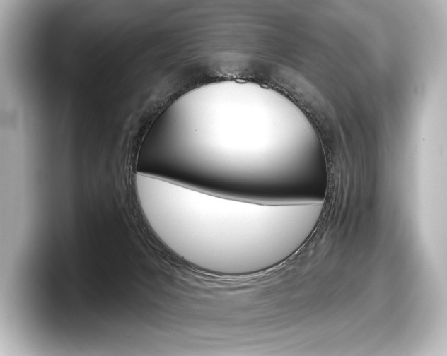 X0000098170031200804241019