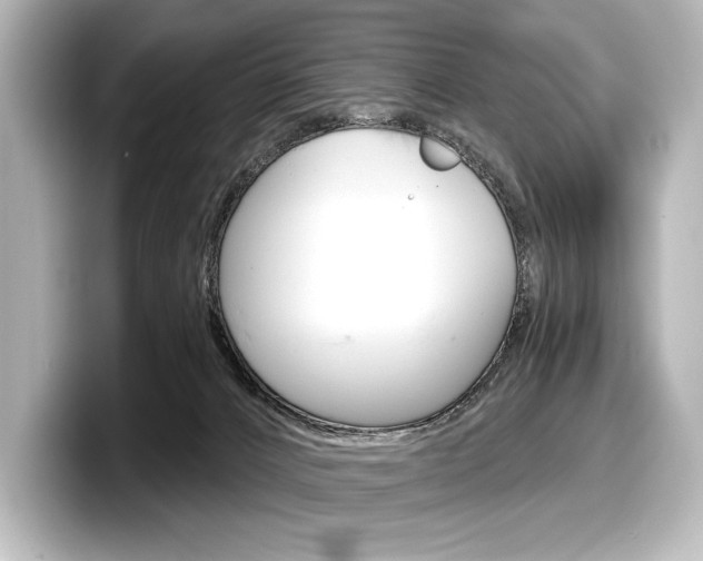 X0000098170032200804241019