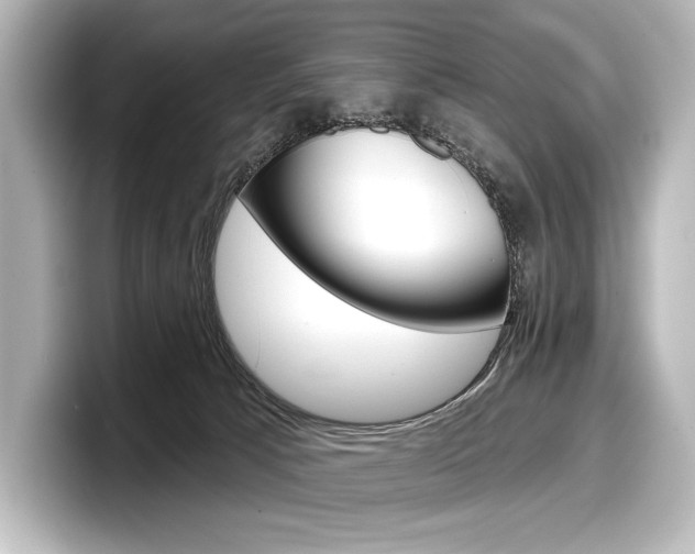 X0000098170033200804241019