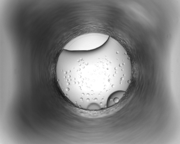 X0000098170034200804241019