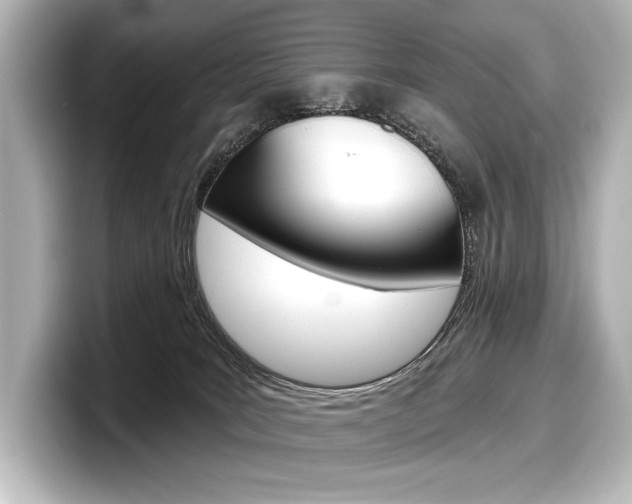 X0000098170035200804241019