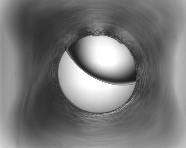 X0000098170037200804241019