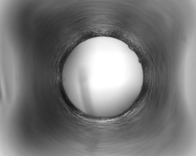 X0000098170040200804241019