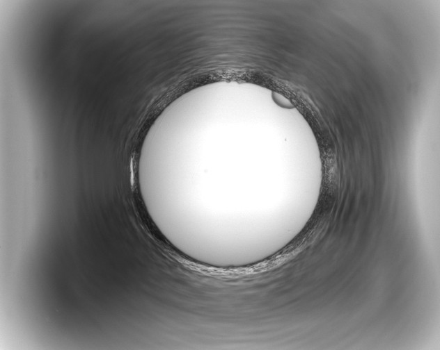 X0000098170042200804241019