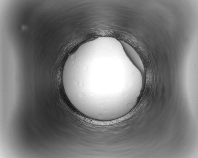 X0000098170043200804241019